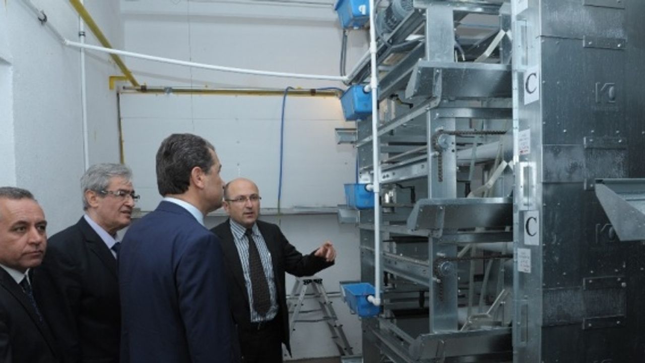 Vali Çelik, Damızlık Tavuk Islahı Enstitüsü Üretim İstasyonunda inceleme yaptı