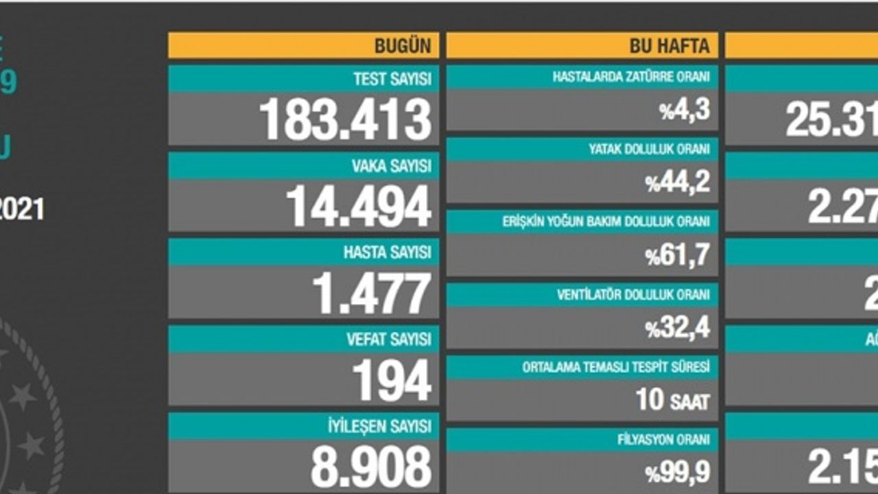 194 kişi hayatını kaybetti