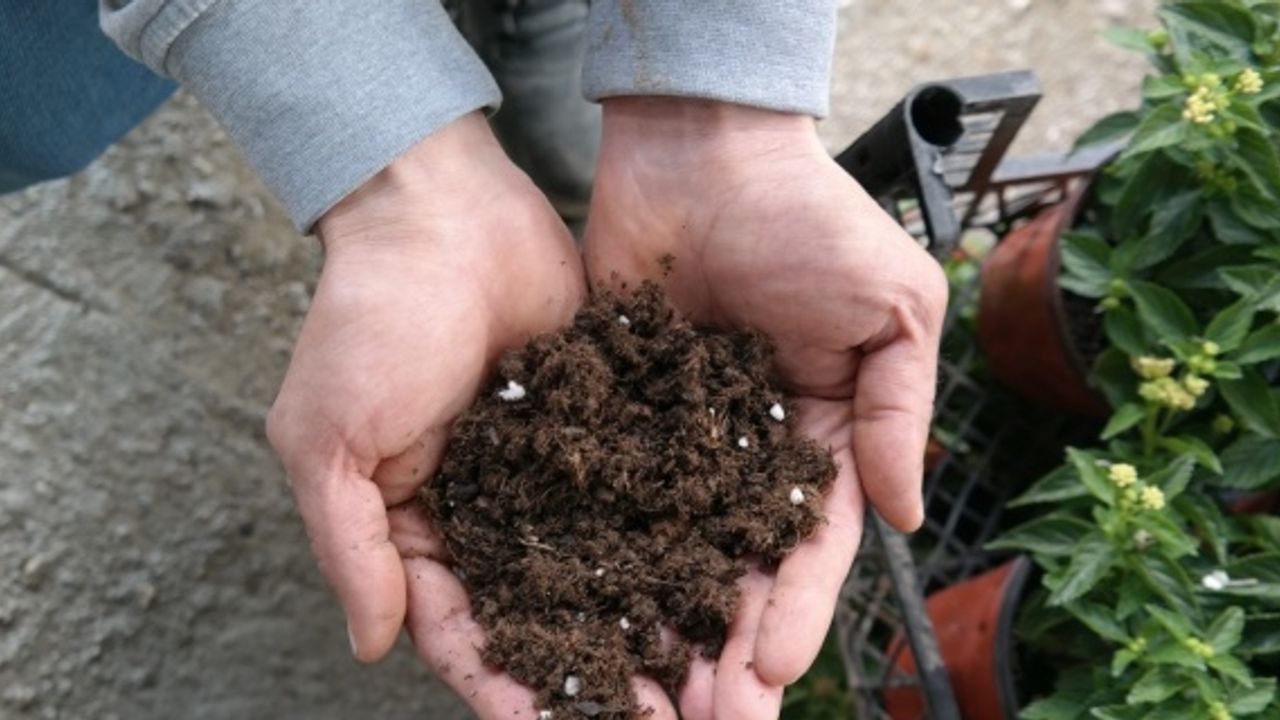 Süs bitkisi ve fide yetiştirme meraklıları bu uyarılara dikkat etmeli