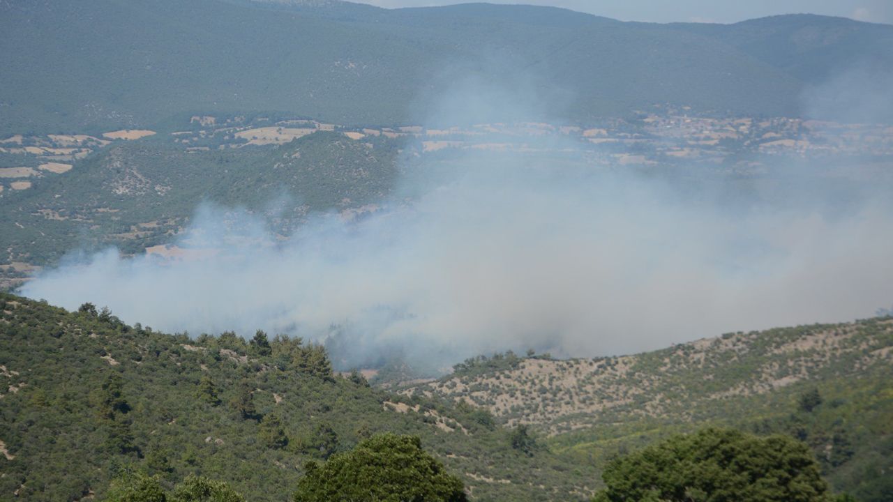 İzmir ile Balıkesir'de orman yangını