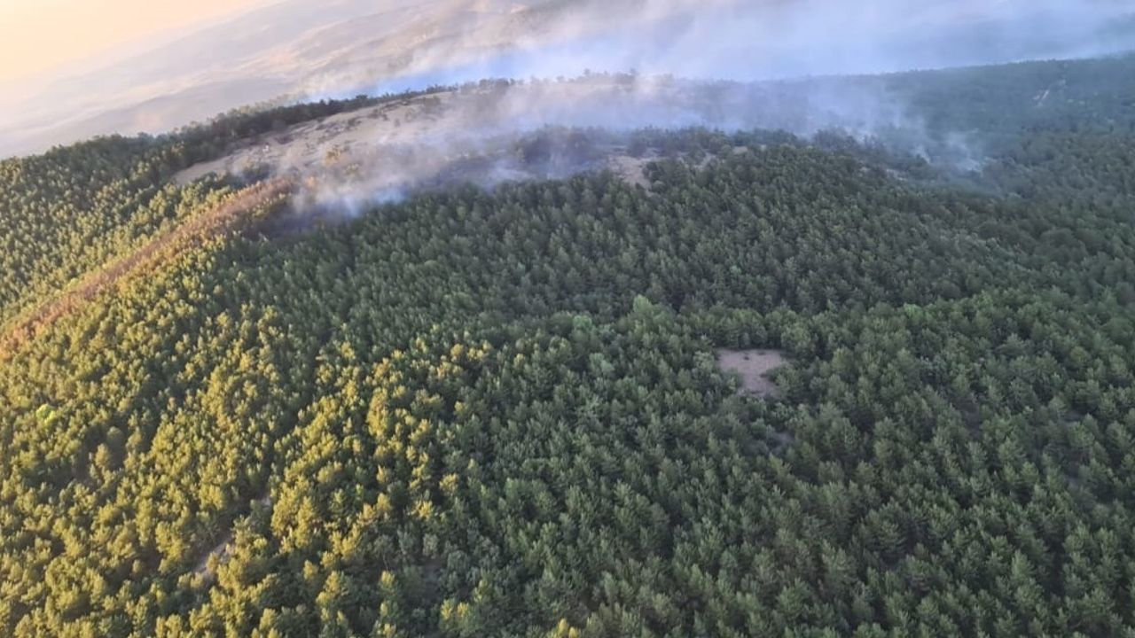 10 hektarlık orman alanı zarar gördü
