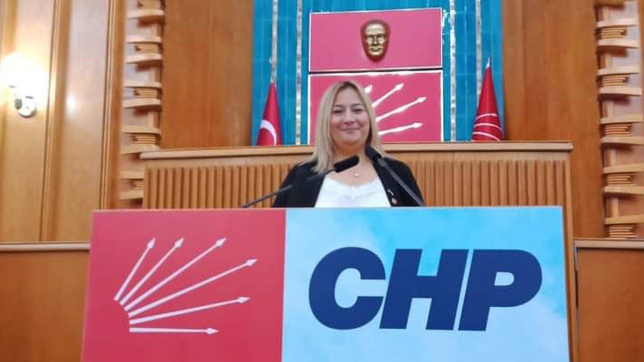 CHP Odunpazarı kadın kollarında bayrak değişimi