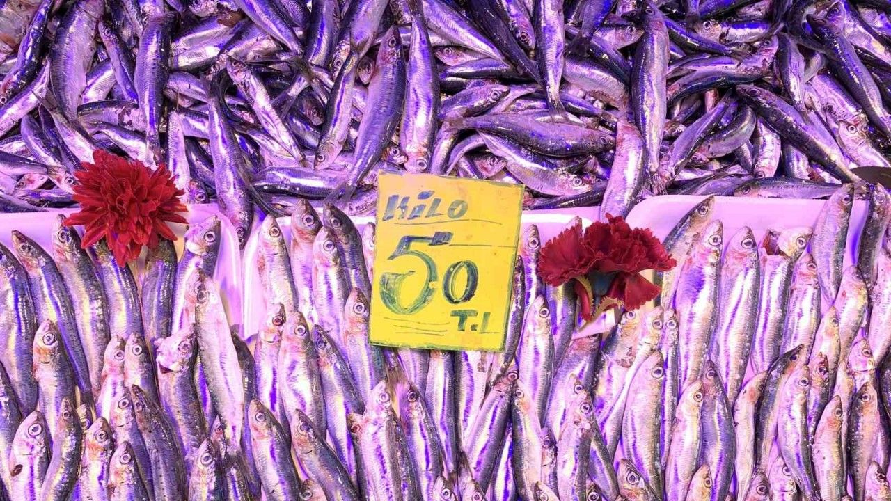 Eskişehir’de balık fiyatları
