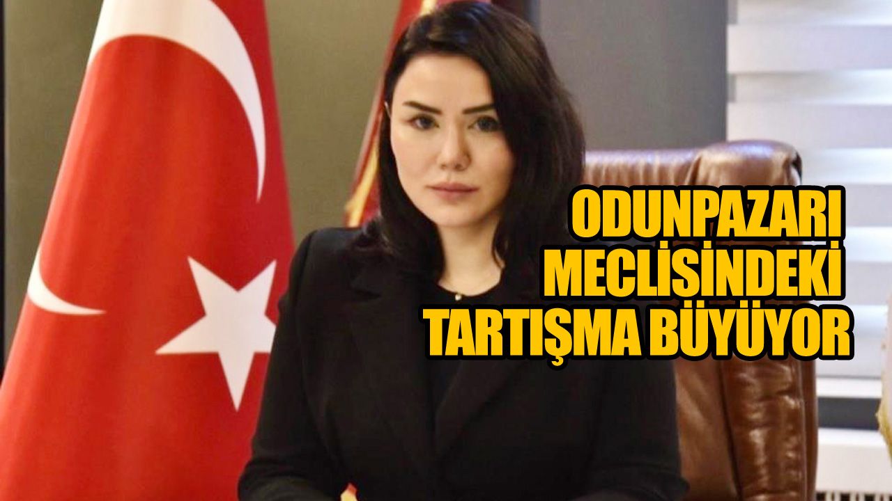 Meclisteki tartışmaya Turhanoğlu sert cevap verdi