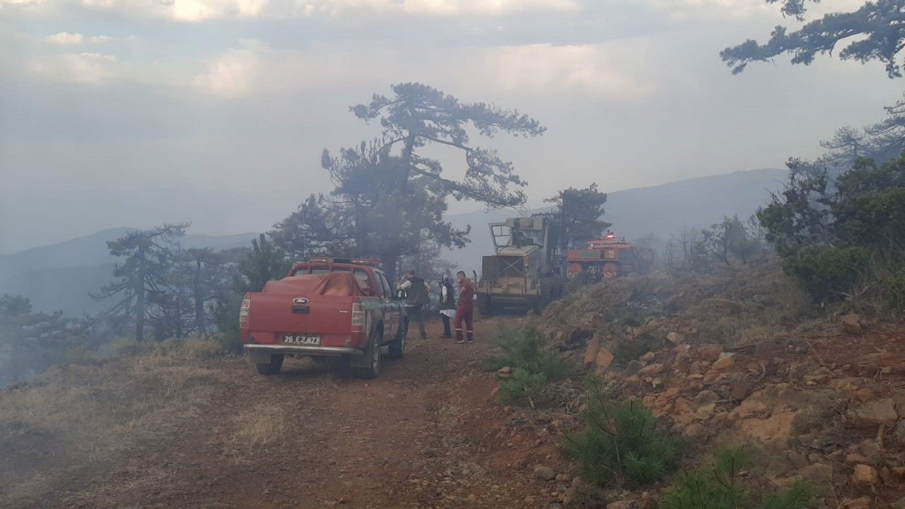 Eskişehir’de çıkan orman yangını kontrol altına alındı