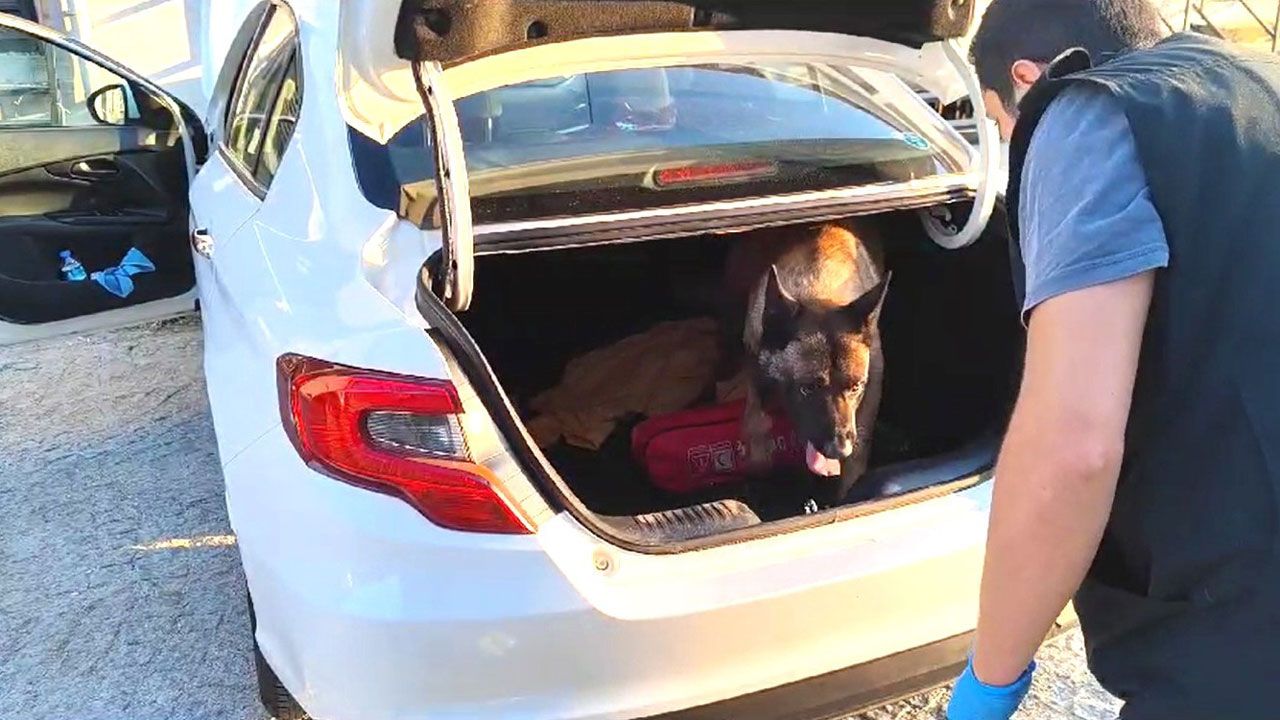 Narkotik köpeği otomobilin bagajındaki uyuşturucuyu buldu
