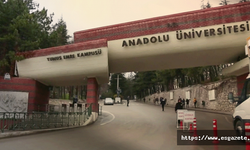 Anadolu Üniversitesi işçileri 27 aydır mağdur