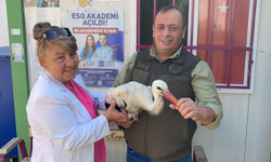 Bu kış Eskişehir'in misafiri olacak