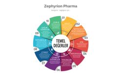 Zephyrion Pharma Ürün Kontrolü Ve Arge
