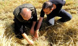 Küçük çiftçiye hasatta büyük destek