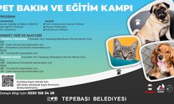 Pet eğitimi ve bakım kampı dolu dolu geçecek