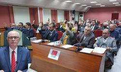 Kurt: 2022 yılında barınakta 134 köpek öldü