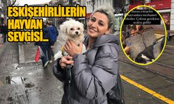 Hayvanlar Eskişehir'de güvende hissediyor