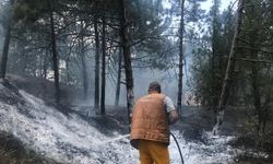 Az kalsın Bademlik tepesi yanacaktı