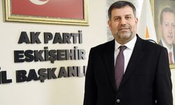 AK Partili Reyhan'dan köprü eleştirisi