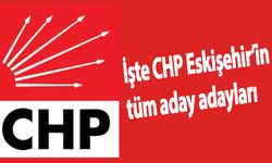 CHP'nin tüm aday adayları belli oldu