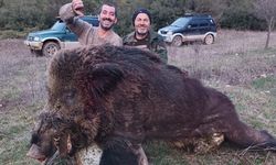 300 kiloluk domuzu avlayıp, poz verdiler