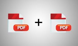 Dijital Dönüşümün İlk Adımı: PDF İndirme Rehberi