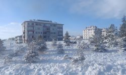 Eskişehir'de Mart ayında kar yağdı