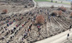 Eskişehir'de 2025 yılında 1 milyon fidan toprakla buluşturuldu