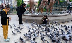 Eskişehir'e gelen turistler kuşları böyle besledi