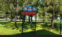 Büyükşehir’den pati park