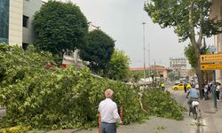 Eskişehir'de facia ucuz atlatıldı