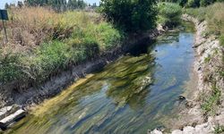 Yeşiltepe mahallesi sulama kanalı için yardım bekliyor