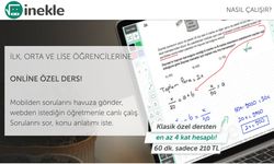 Online Özel Ders: İnekle ile Bireysel Öğrenmenin Gücü