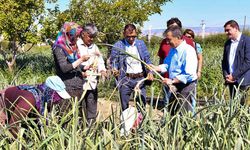 Tepebaşı'ndaki üretimle iftihar edilmeli