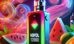 Vozol 12000