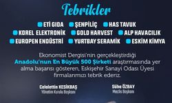 İlk 500'de Eskişehir'den 9 firma