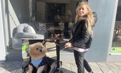 Köpeğini bebek gibi gezdiriyor