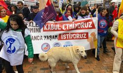 Eskişehir'in köpekleri de eylemlerde