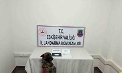 Uyuşturucu taşıyan şahıs yakalandı