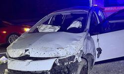 Bilecik'te meydana gelen trafik kazasında 1 kişi hayatını kaybetti