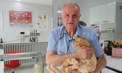 Bir can için cezayı göze aldı, mahkeme iptal etti