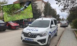 Çalılar budandı, tehlike uyarısı verildi