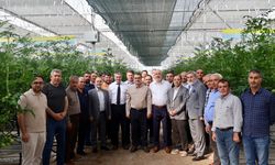 Eskişehir’de ilk modern topraksız tarım işletmesi faaliyete geçti