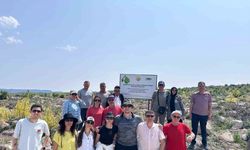 Eskişehirli şehidin hatırası Kümbet’teki ormanda yaşayacak