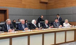 Ayşen Gürcan komisyon başkanı oldu