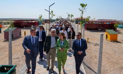 Can dostlar için doğal yaşam alanı açıldı