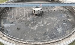 Aman dikkat! Bu fotoğraflara iyi bakın