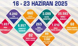 Eskişehir'de 265 araç trafikten men edildi