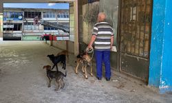Eskişehir'de bir depoda mahsur kalan 6 köpek kurtarıldı
