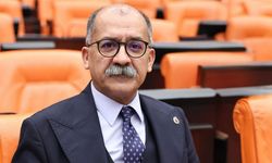 Zeytine kıyan yasa: kamu yararı mı, rant mı?