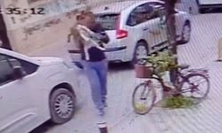 Köpeği, çişini yaptırmak için indirip yere fırlattı
