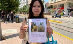 Sokak sokak kayıp kedisini aradı