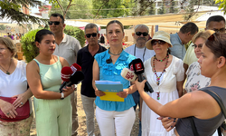 Çarpa için yeni yer önerisi