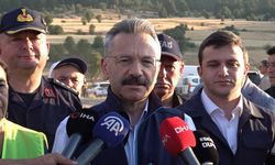 Eskişehir Valisi Aksoy: "Yangında 60 hektar alan zarar gördü"